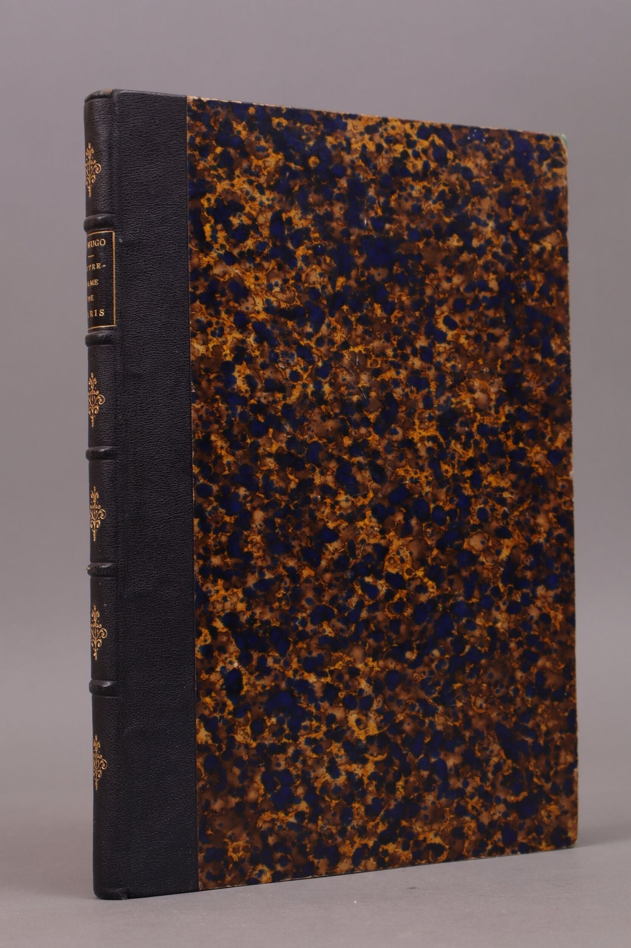 Notre-Dame de Paris  par Victor Hugo, illustré par Brion