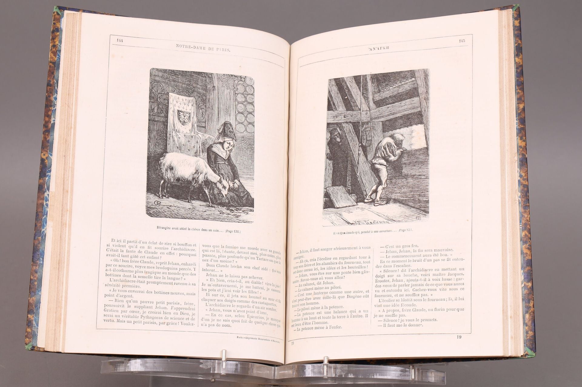 Notre-Dame de Paris  par Victor Hugo, illustré par Brion