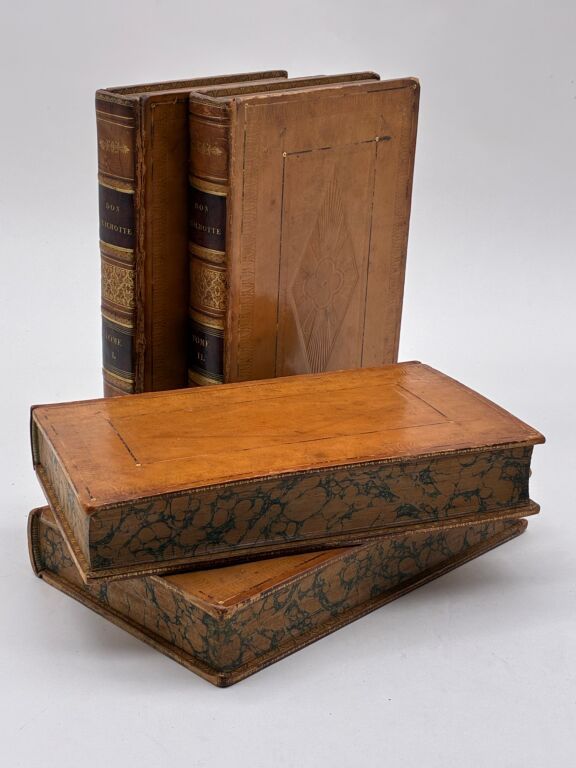 Don Quichotte de Cervantès