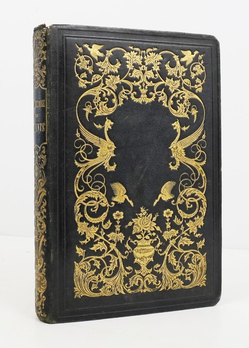 Vocabulaire des enfants. Dictionnaire pittoresque illustré